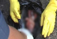 Sesosok Mayat Bayi Ditemukan di Tumpukan Sampah Jaktim Sesosok Mayat Bayi Ditemukan di Tumpukan Sampah Jaktim