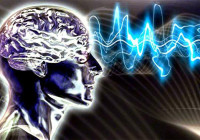 Otak Mengecil akibat Kegemukan