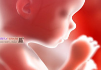 Jual Anak Sendiri Hanya Untuk Membeli iPhone dan Sepeda Motor