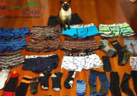 Kucing Genit Ini Suka Mencuri Pakaian Dalam Pria