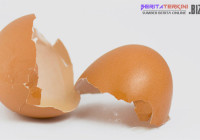 4 Manfaat Tidak Terduga Kulit Telur Untuk Kecantikan