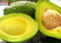 Ayo Makan Empat Jenis Makanan Berlemak Ini Malahan Buat Perut Jadi Kecil!