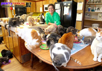 Perempuan Ini Rela Menjadi Seorang Gelandangan Karena Pelihara 24 Ribu Kucing