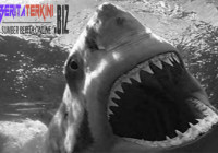 Tangan Pelajar Nabire Hampir Putus Di Serang Ikan Hiu