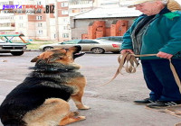 Pria Ini Mati Setelah Patah Hati 3 Kali