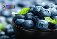 Rajinlah Makan Bluberry Bila Ingin Ingatan Lebih Tajam