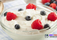 Ternyata Yogurt Memiliki 7 Manfaat Sehat Yang Mengejutkan