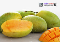 Buah Ini Yang Mesti Kamu Konsumsi Setiap Hari Buah Ini Yang Mesti Kamu Konsumsi Setiap Hari