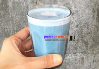 Latte Ganggang Biru Banyak Manfaat Untuk Kesehatan Latte Ganggang Biru Banyak Manfaat Untuk Kesehatan