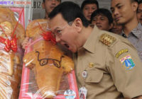 Ahok Bilang Roti Buaya Pemberian Relawan Rasanya Enggak Enak Ahok Bilang Roti Buaya Pemberian Relawan Rasanya Enggak Enak