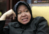 PPP Tetap Mau PDIP Usung Risma Walaupun Mega Mendukung Ahok