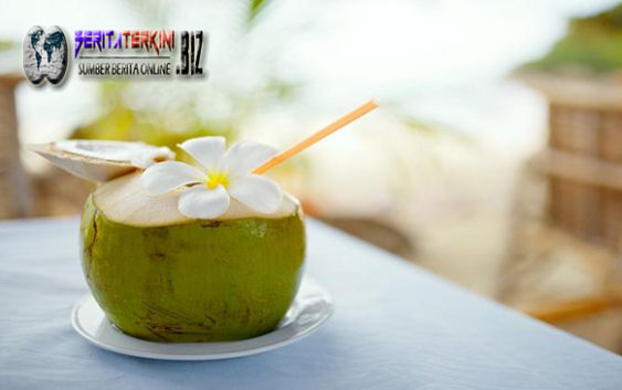 Beritaterkini.biz - Beritaterkini, Tinggal di negara tropis sangat gampang untuk kita buat temukan air kelapa. Terkecuali manfaatkan daging kelapa, minum air kelapa juga biasa kita lakukan.