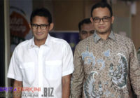 Anies dan Sandiaga Contoh Cara Jokowi Lakukan Kampanye di Pilgub DKI Anies dan Sandiaga Contoh Cara Jokowi Lakukan Kampanye di Pilgub DKI