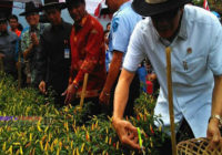 Selama 4 Bulan 27 Napi Lapas Makassar Hasilkan 200 Kg Cabai