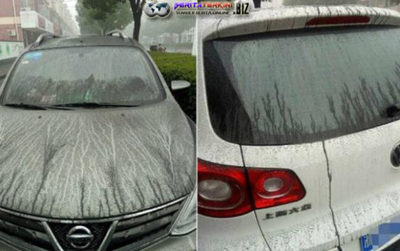 Hujan Lumpur Hitam Terjadi di China