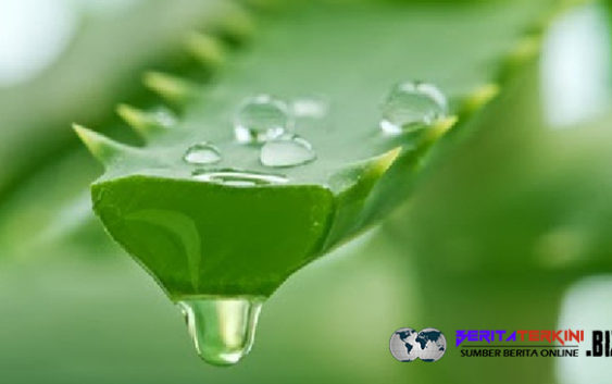 20 Mobil Pemadam Kebakaran Di Terjunkan Untuk Padamkan kebakaran di Neo Soho