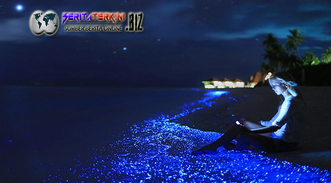 Luar Biasa... 4 Pantai Ini Mengeluarkan Cahaya Pada Malam Hari