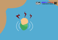 Bayi Baru Lahir Di Hanyutkan Ke Anak Sungai Musi oleh Wanita 16 Tahun