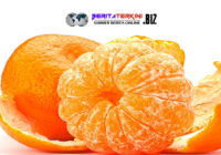 Tujuh Keuntungan Ini Di Jamin Anda Dapat Jika Rutin Makan Jeruk