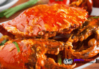 Hindari Konsumsi 5 Makanan ini Waktu Perut Kosong Dan Lapar Berat!