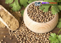 Ternyata Si Imut Ketumbar Memiliki 7 Manfaat Hebat Loh!