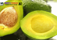 5 Makanan Ini Bisa Tenangkan Diri Waktu Cemas