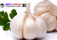 Khasiat Dari Bawang Putih Bisa Untuk Membersihkan Telinga