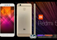 Beberapa Informasi Mengenai Spesifikasi Xiaomi Redmi 5, Apakah Benar?