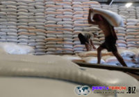 Pemerintah Akan Jatuh Apabila Tidak Dapat Mengelola Beras Dengan Baik Dan Benar