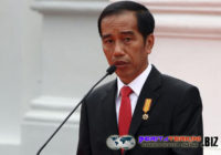 Jokowi Meminta Pengelolaan Hutan Mencontoh Dari Swedia dan Finlandia