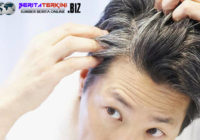 Penyebab Munculnya Uban Pada Rambut Diusia Muda