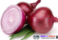 Berikut Beberapa Manfaat Dari Bawang Merah