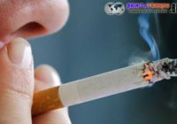Berikut Kualitas Sperma Dari Seorang Pencandu Rokok Berikut Kualitas Sperma Dari Seorang Pencandu Rokok