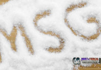 Boleh Kok Pakai Micin Asal Tahu Aturannya