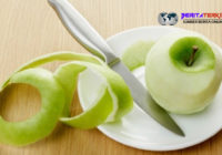 5 Jenis Buah-Buahan yang dapat maksimalkan kesehatan Ginjal