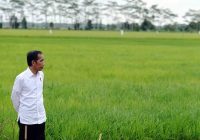 Presiden Meminta Generasi Muda Untuk Belajar Bertani