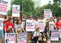 DMFI Temukan Penjualan Daging Anjing di Pasar Senen