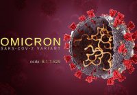 Ditemukan Pasien Omicron Pertama di Indonesia, Berikut Penjelasannya