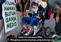 Pemerintah Akan Melegalisasi Ganja Medis