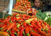 BI Mengajak Masyarakat Menanam Cabai Guna Mengendalikan Inflasi Daerah