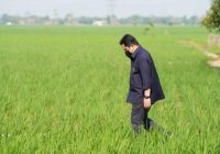 Erick Thohir Pastikan Stok Pupuk Subsidi Tercukupi