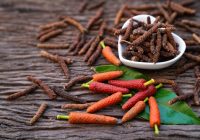 Gerakan Perempuan Indonesia Maju Menggelar Gerakan Tanam Cabai Jawa di Magelang