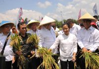 Tanggapan Bank BRI Tentang Kebijakan Penghapusan Hutang Petani dan Nelayan Oleh Presiden Prabowo Subianto