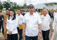 Luhut Binsar Pandjaitan Gelar Program Tanam 10 Ha Bawang Putih Guna Wujudkan Swasembada Pangan Luhut Binsar Pandjaitan Gelar Program Tanam 10 Ha Bawang Putih Guna Wujudkan Swasembada Pangan