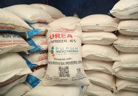 Pupuk Urea Indonesia Resmi Diperebutkan Banyak Negara, Berikut Penjelasannya