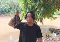 Relawan Arief Kamarudin Mengajak Pemerintah dan Warga Untuk Membasmi Ikan Sapu-Sapu di Perairan Sungai
