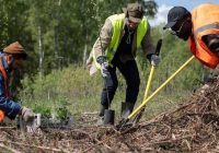 Pemerintah Dorong Pembiayaan Inovatif Konservasi Hutan