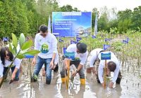 PT BTN Gelar Program Tanam 2.500 Mangrove di Pulau Pramuka