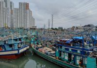 Pemerintah Adakan 4.582 Kapal Untuk Pertumbuhan Ekosistem Laut di Indonesia Pemerintah Adakan 4.582 Kapal Untuk Pertumbuhan Ekosistem Laut di Indonesia