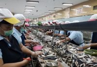 KKP Kembangkan Program Sisa Pengolahan Ikan Menjadi Ekonomi Baru, Simak Penjelasannya KKP Kembangkan Program Sisa Pengolahan Ikan Menjadi Ekonomi Baru, Simak Penjelasannya